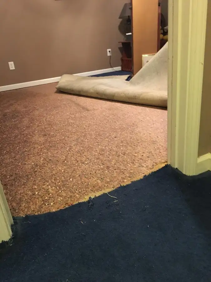 Carpet pad removal revealing water damage during Water Mitigation Services in Horn Lake