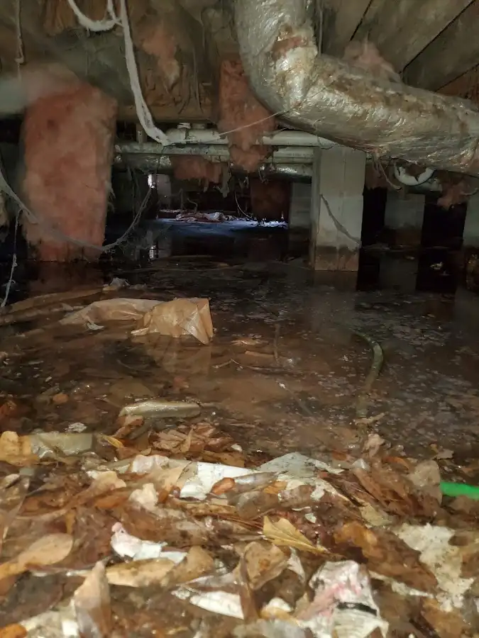 Crawl space flood assessment for Commercial Water Damage Restoration in Horn Lake