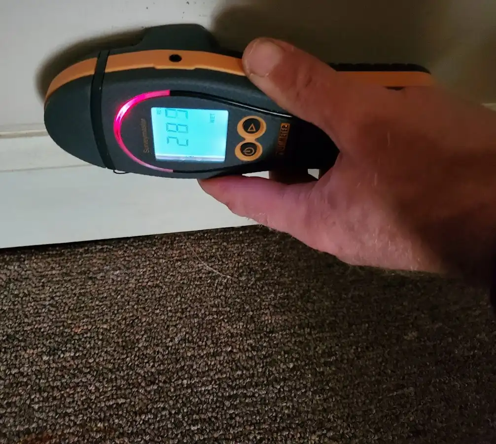 Moisture detection at baseboard during Sewage Cleanup & Sanitation in Horn Lake